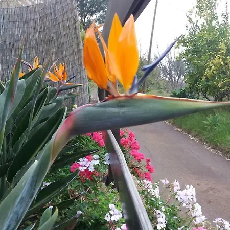 Сasa de vacaciones Barrancolaurel Moya (Gran Canaria)
